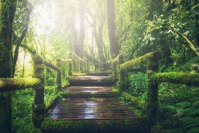 In your spiritual journey take things step by step