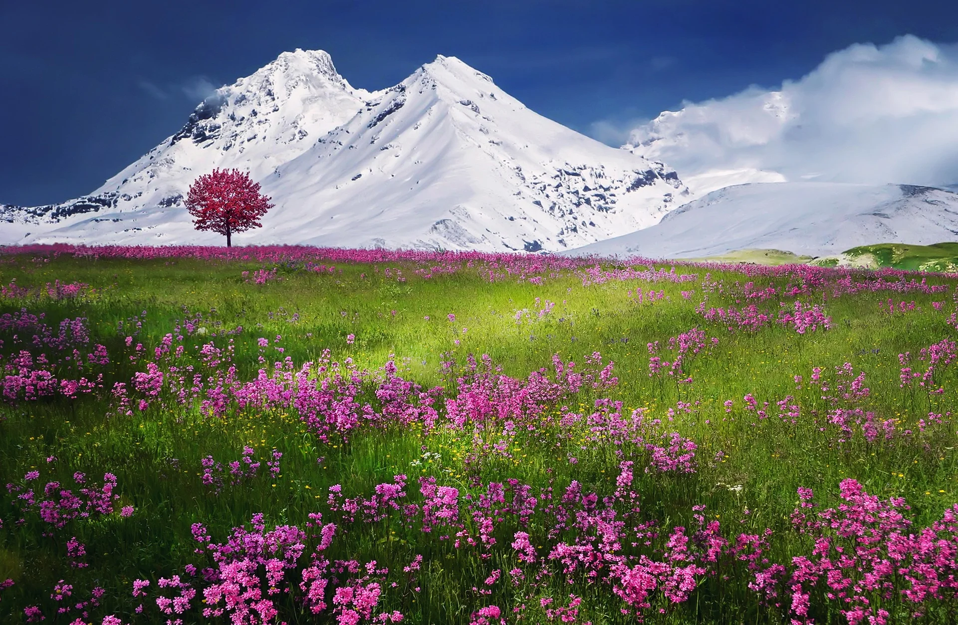 Photo: Bess Hamiti