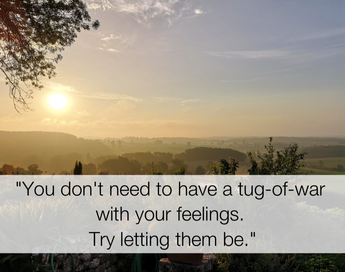 You don’t have to have a tug-of-war with your emotions. Try letting them be. - act quotes, Shamash Alidina