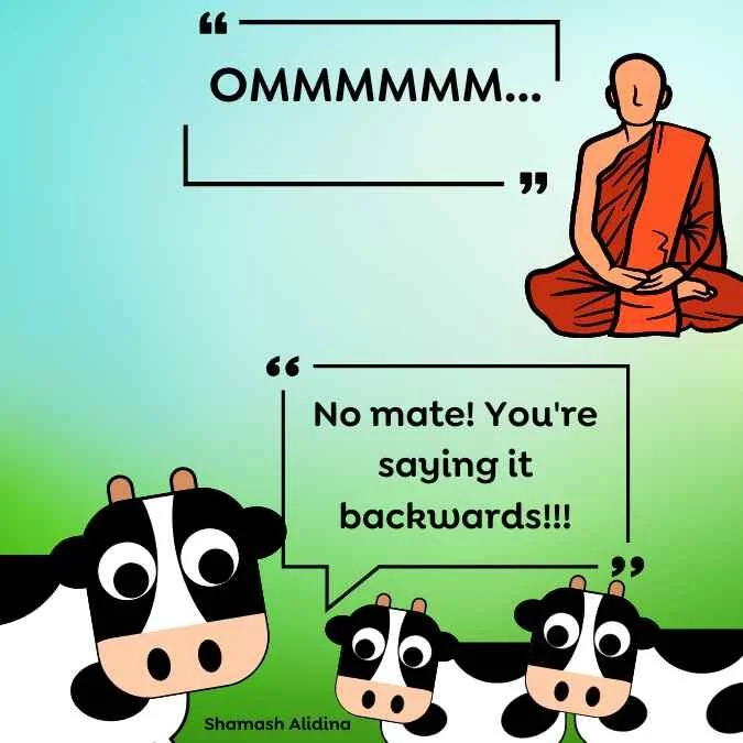 A funny mindfulness meme