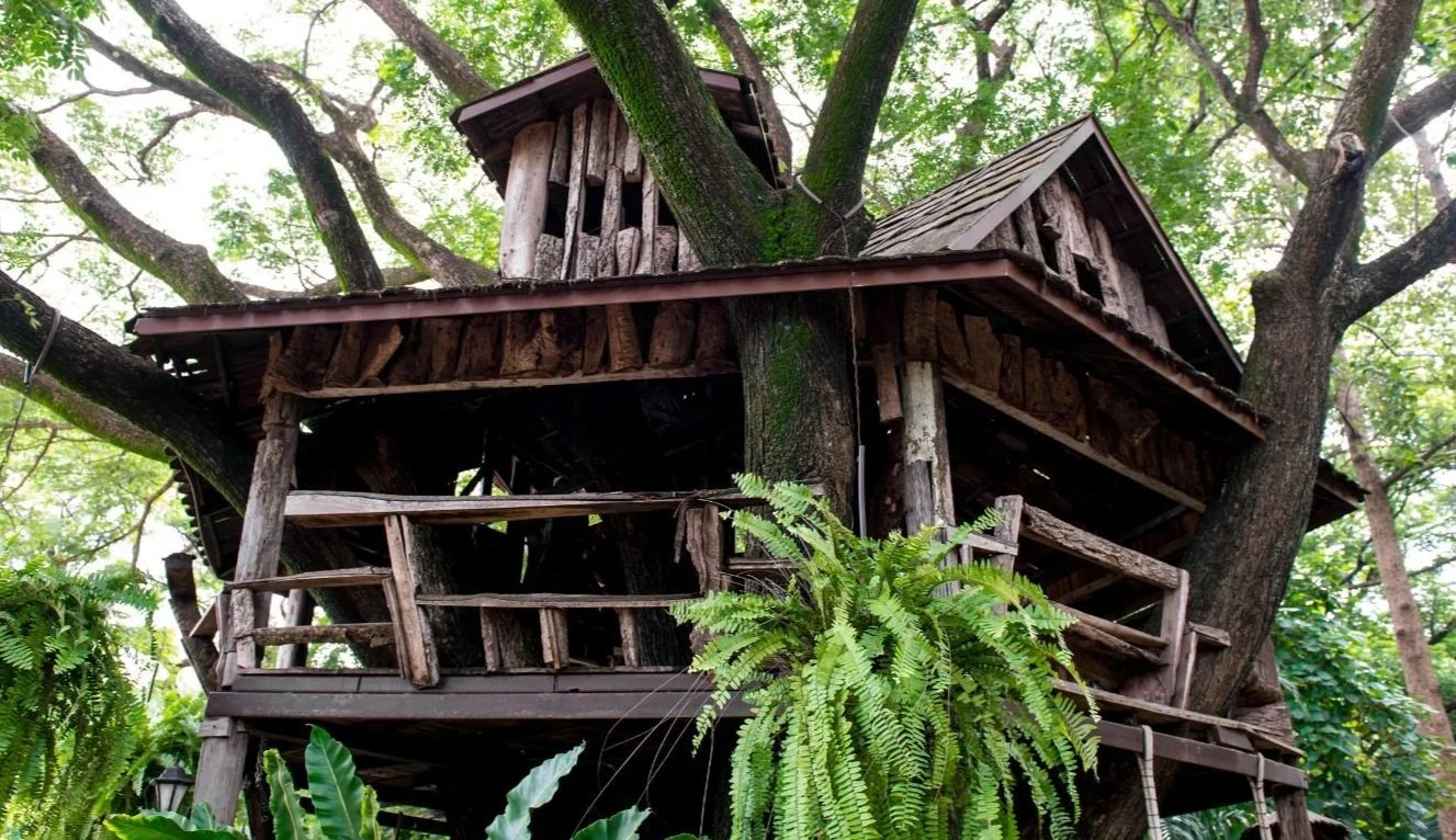 eco homes run on solar, wind and faeces