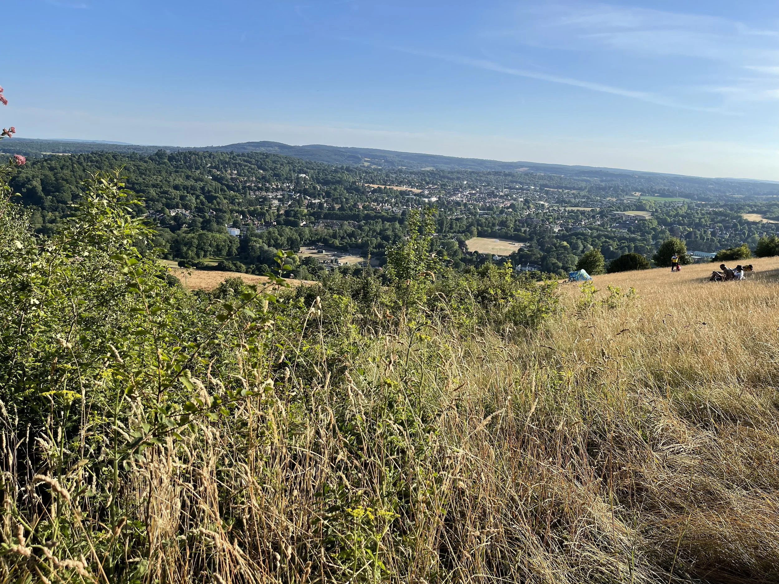 Surrey, UK - (c) Shamash Alidina