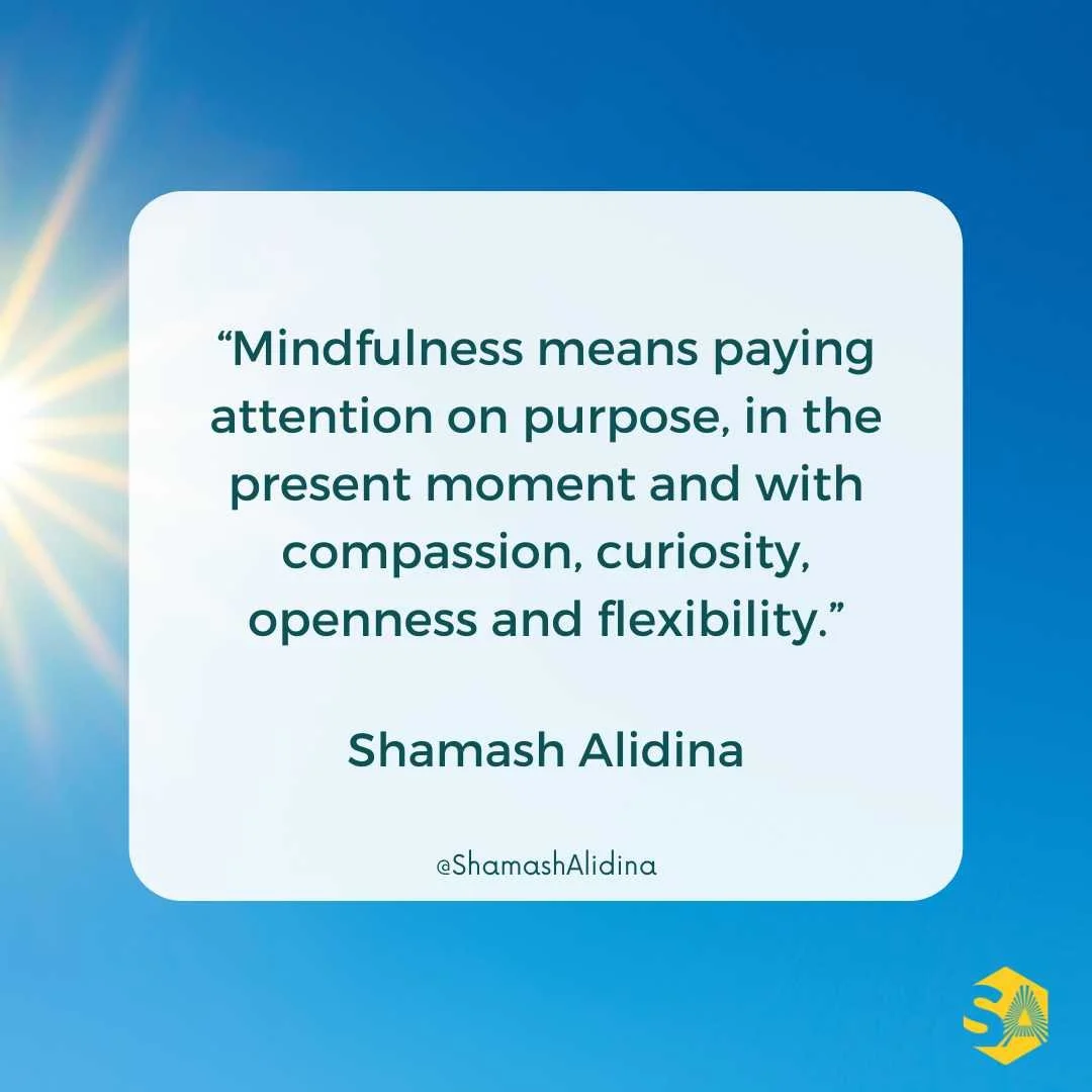 MINDFULNESS QUOTE BY SHAMASH ALIDINA