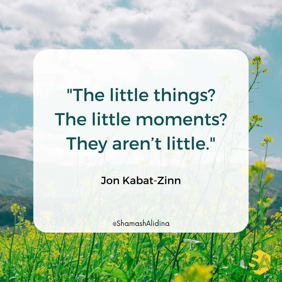 MINDFULNESS QUOTE BY JON KABAT-ZINN
