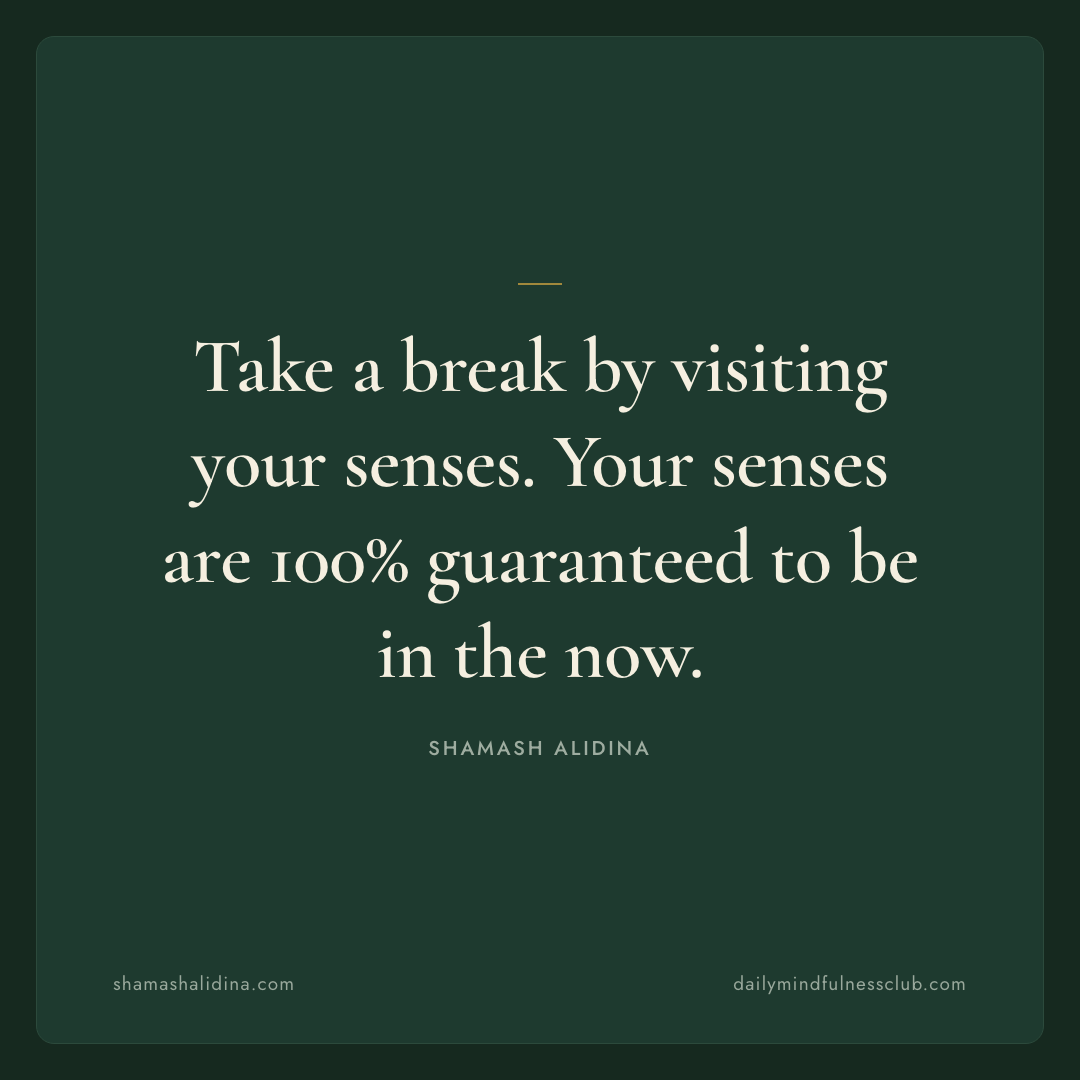 Take a break by visiting your senses. Your senses are 100% guaranteed to be in the now. act quotes by shamash alidina
