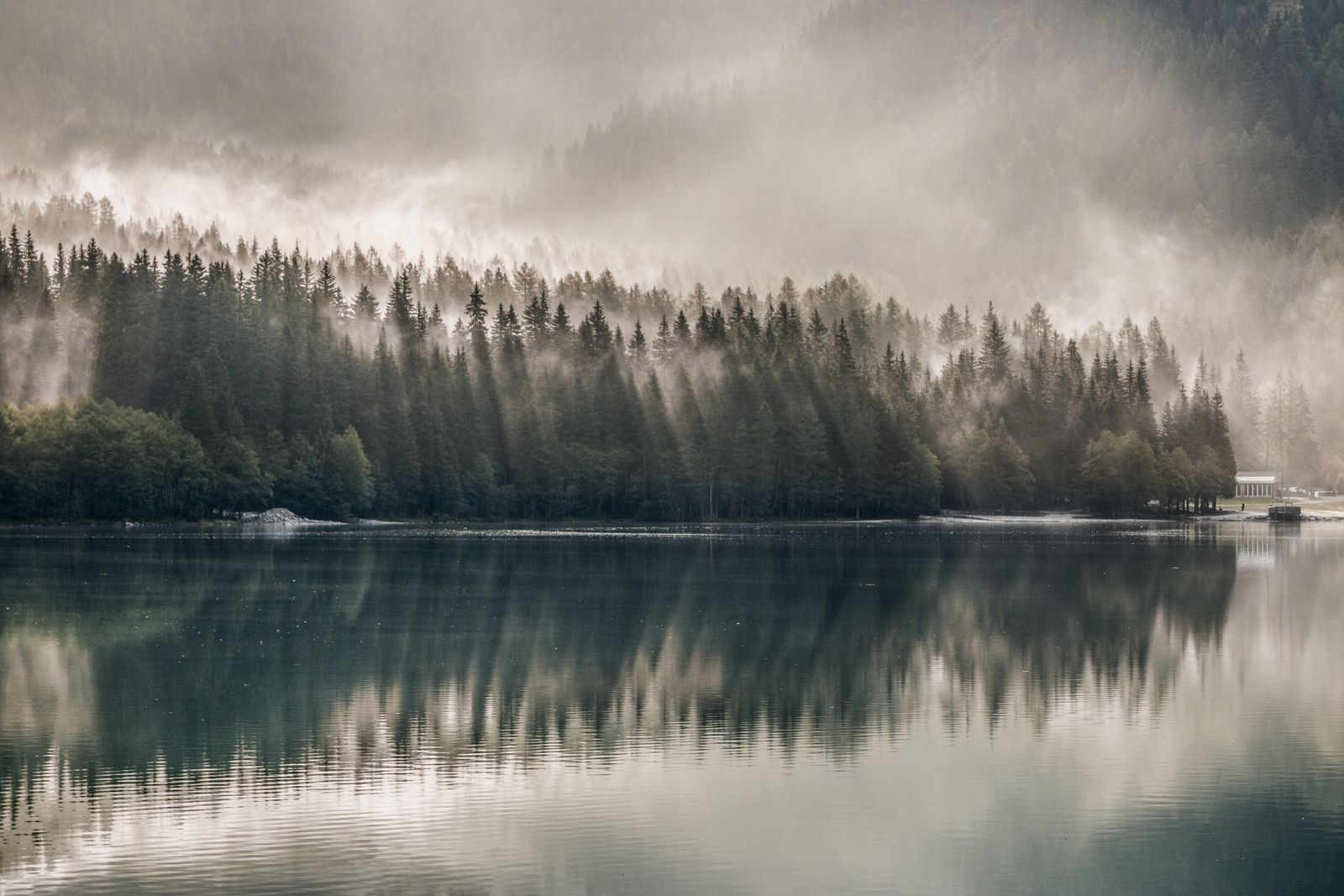 A misty pine forest reflected in a still lake