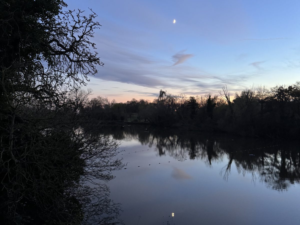A pond on the Heath at dusk, a crescent moon above the trees