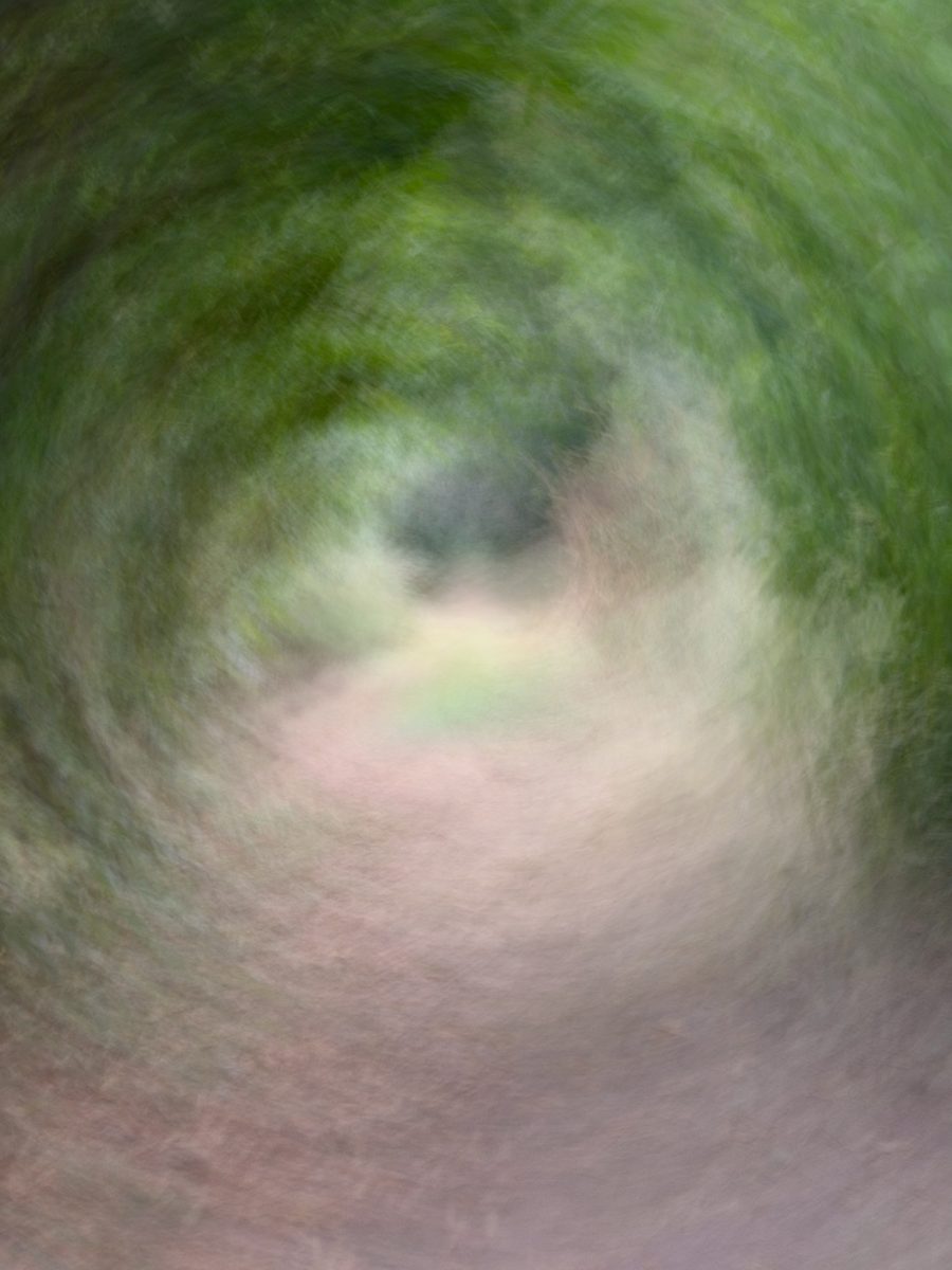 A path through trees, swirled into soft greens and pinks by moving the camera